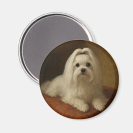 Maltese マグネット
