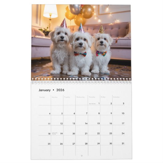 Maltese Calendar カレンダー (1月 2026)