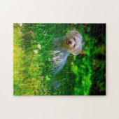 Maltese Dog Breed. ジグソーパズル (横)