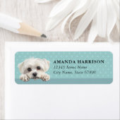 Maltese Dog Return Address Labels ラベル (インサイチュ)