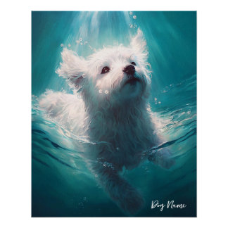 Maltese dog swimming in water 003 ポスター