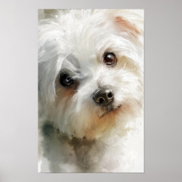 Maltese dog watercolor portrait ポスター