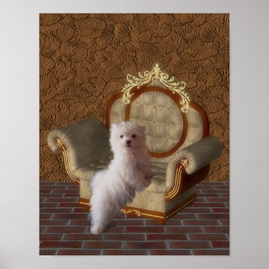 Maltese Puppy On Chair Dog Art ポスター (正面)