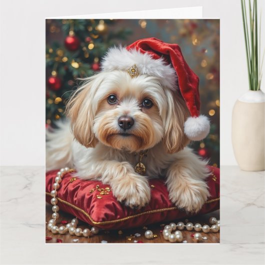 Maltese Royal Christmas Crimson Hat カード (正面)