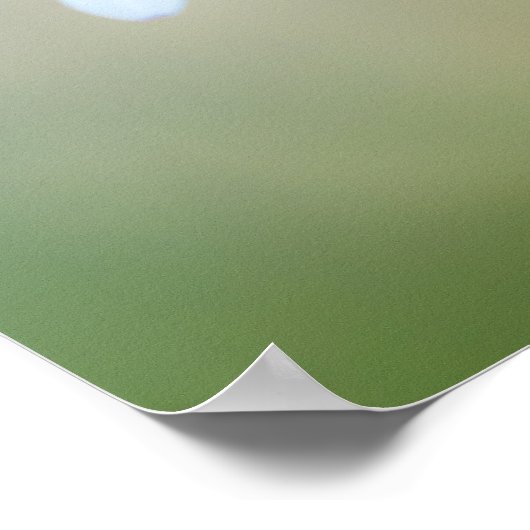 🌼 Maltese Serenity ポスター (角)