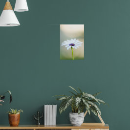 🌼 Maltese Serenity ポスター