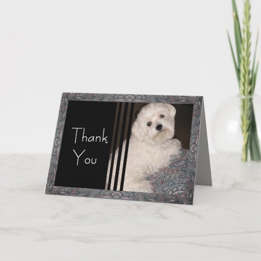 Maltese THANK YOU  Card -for Anyone サンキューカード (正面)