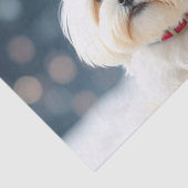 Maltese Tissue Paper 薄葉紙 (詳細)