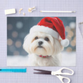 Maltese Tissue Paper 薄葉紙 (クラフト)