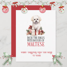 Maltese Whimsical Christmas | シーズンカード