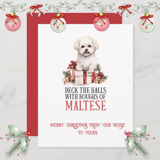 Maltese Whimsical Christmas | シーズンカード