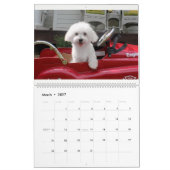Maltipooのマルタの子犬のカレンダー カレンダー (3月 2027)