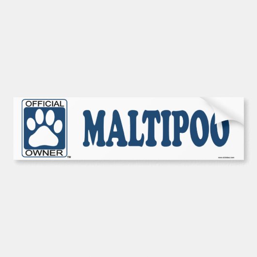 Maltipooの青 バンパーステッカー (正面)
