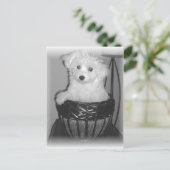 MaltiPooプロダクト ポストカード (スタンド正面)