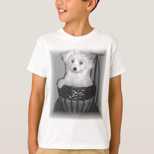 MaltiPooプロダクト Tシャツ (正面)