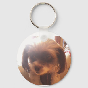 Maltipoo Keychain キーホルダー