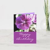 Malve -happy birthday カード (正面)