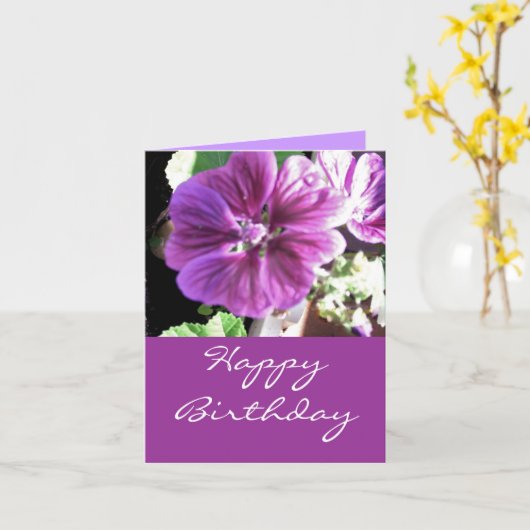 Malve -happy birthday カード (黄色い花)
