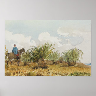 malvinas ポスター