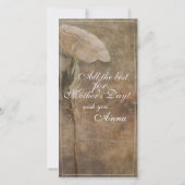 Mama – 単にかけがえのない – ヴィンテージ (裏面)