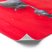 🐈 Mama Cat Knock, Knock! ❤️ ポスター (角)