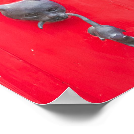 🐈 Mama Cat Knock, Knock! ❤️ ポスター (角)