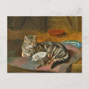 Mama Cat & Pupのポストカード「The Unexpected Guest」 ポストカード