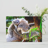 Mama Koala and Baby Joey in a Tree (スタンド正面)