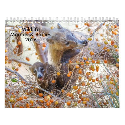 Mamas & Little Ones: A 2026 Wildlife Calendar カレンダー (カバー)