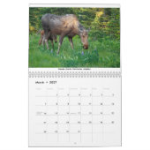 Mamas & Little Ones: A 2026 Wildlife Calendar カレンダー (3月 2027)