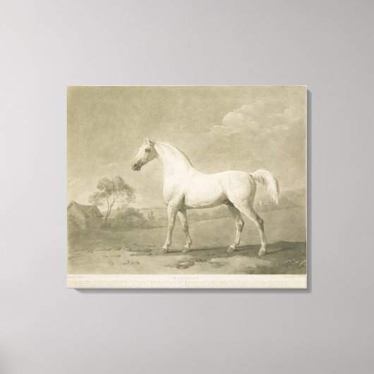 Mambrino, George Stubbsの後， 1788 (mezotint) キャンバスプリント (正面)