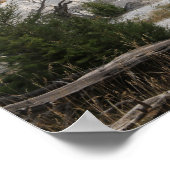 Mammoth Hot Springs, Yellowstone National Park ポスター (角)