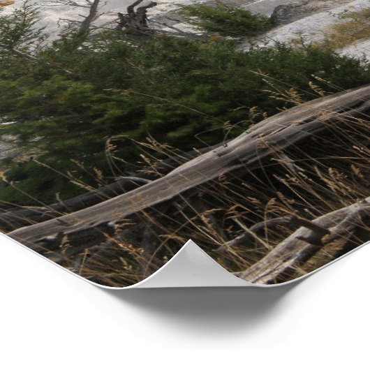 Mammoth Hot Springs, Yellowstone National Park ポスター (角)