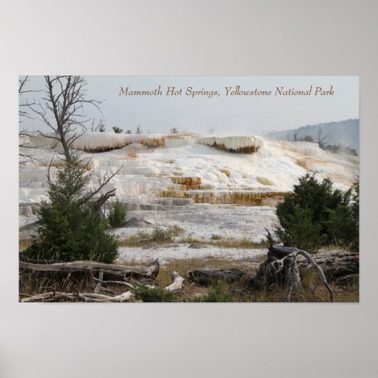 Mammoth Hot Springs, Yellowstone National Park ポスター (正面)