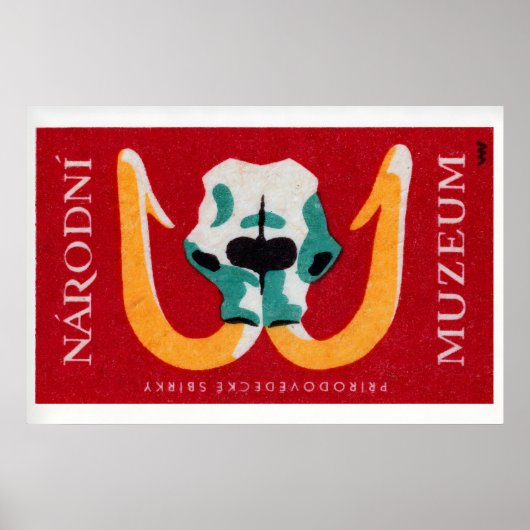 Mammoth Skull - Matchbox Print - Czech Wall Art ポスター (正面)