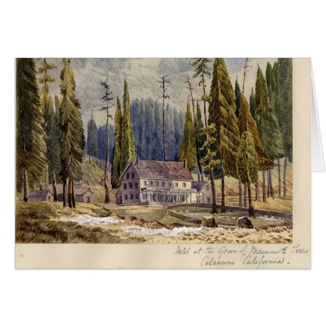 Mamothの木の果樹園のホテル (正面横)