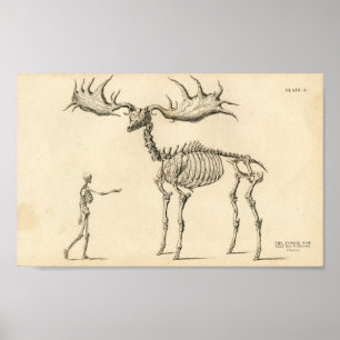 Man & Mooseヴィンテージポスター ポスター