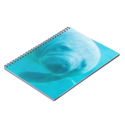 Manatee ノートブック (左側)