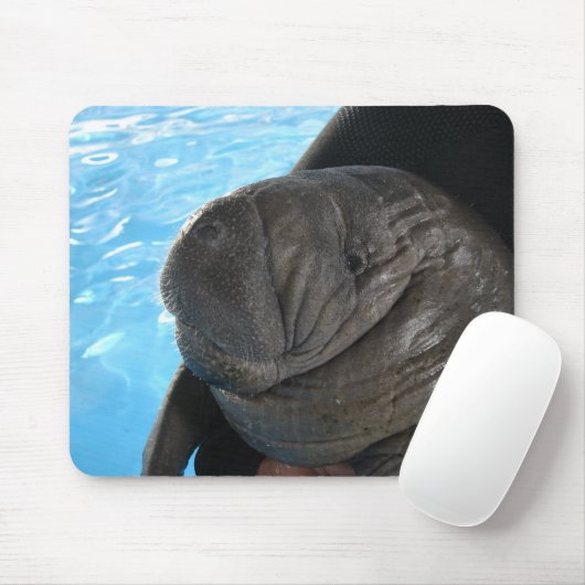 Manati SMP04 マウスパッド (マウス)