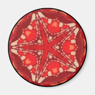 Mandala Fractal Arco Iris Estrella Flor Arte Iman マグネット