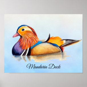 Mandarin Duck Watercolor Painting Poster ポスター