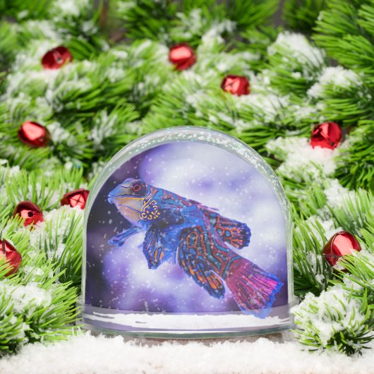 Mandarin Goby Fish (クリスマス)