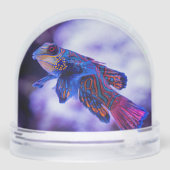 Mandarin Goby Fish (裏面)