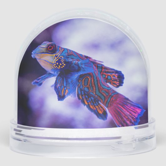 Mandarin Goby Fish (裏面)