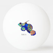Mandarinfish cartoon illustration  卓球ボール (裏面)