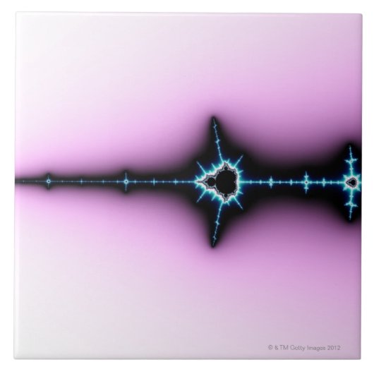 Mandelbrot 6 タイル (正面)