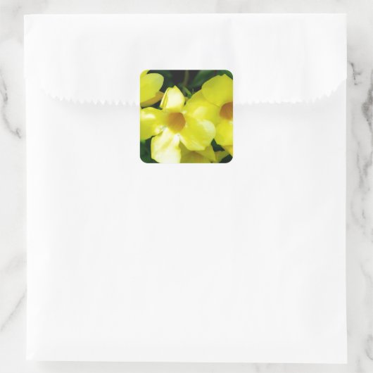 Mandevilla.JPG スクエアシール (バッグ)