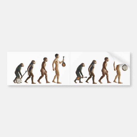 Mandolution バンパーステッカー (正面)