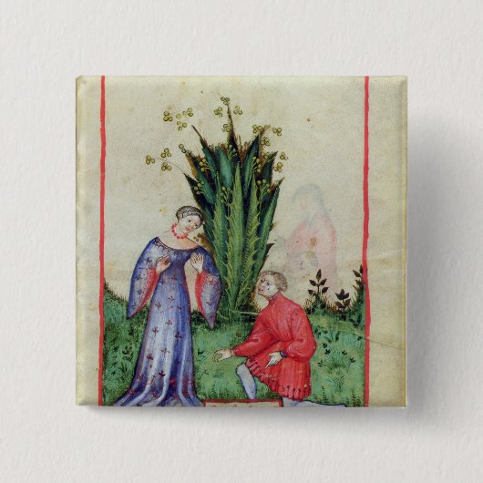 Mandrakeのフルーツ、from Tacuinum Sanitatis 缶バッジ (正面)