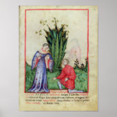Mandrakeの果実，から' Tacuinum Sanitatis' ポスター (正面)